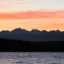 Shore Woods Contacts